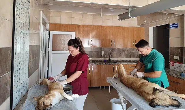 Yaşatmak İstiyoruz