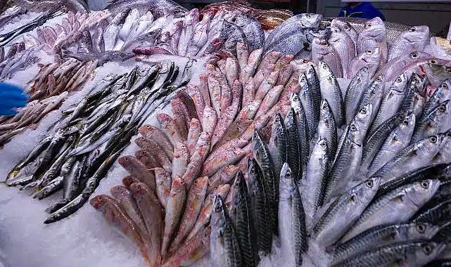 Ağdan Tabağa Güvenle Ulaşan Balıklar Yeni Sezonda da Metro Türkiye’de