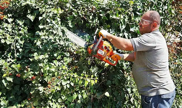 Keçiören’de mevsimlik budama çalışması.