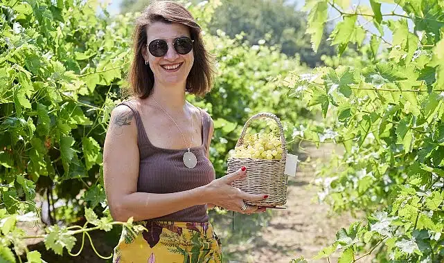 Metro Türkiye, Şeflerle birlikte Manisa Sultani Çekirdeksiz Üzümü’nün İzinde