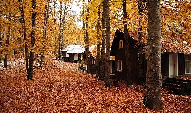 3.250 TL’den Başlayan Sonbahar Rotaları