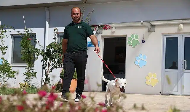 Antalyaspor’a ‘can dost’