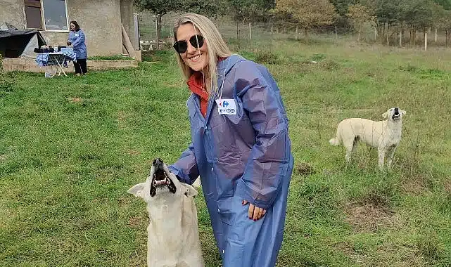 CarrefourSA Dost Hareketi ile Sokak Hayvanlarına Desteğe Devam Ediyor