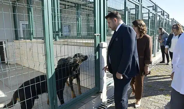 Patili Dostlara Miniklerden Ziyaret