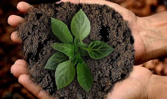 Gedik Yatırım’dan gelecek nesiller için TEMA Vakfı iş birliği ile hatıra ormanı