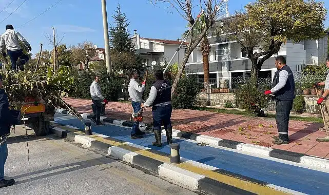 Büyükşehir Kent Genelinde Budama Çalışmalarına Devam Ediyor