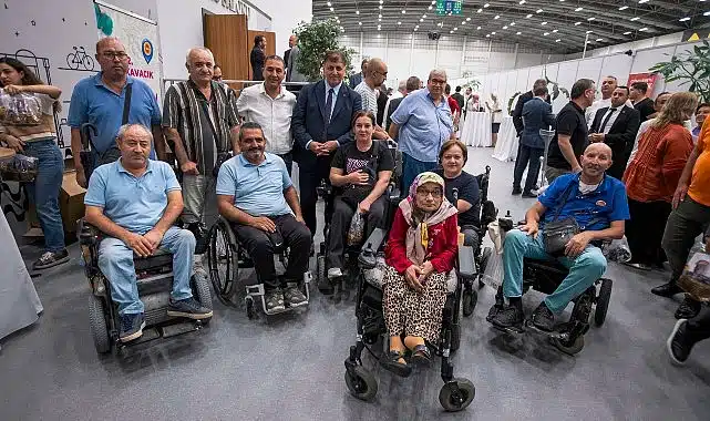 İzmir Büyükşehir yanan zeytin ağaçlarının yaşatılması için çalışma başlattı  Zeytin ağaçları küllerinden doğacak