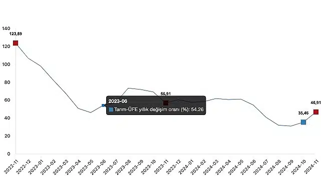 Tüik: Tarım ürünleri üretici fiyat endeksi (Tarım-ÜFE) yıllık %46,91 arttı, aylık %8,88 arttı