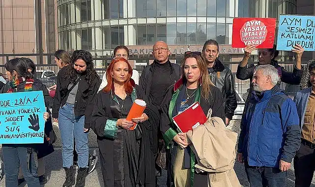 Bakırköy Belediyesi’nin Müdahil Olduğu Köpeğe İstismar Davası Sonuçlandı: 1 Yıl 6 Ay Hapis Cezası