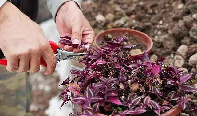 Bilinçli Tarımsal Üretim İçin Eğitim Zamanı