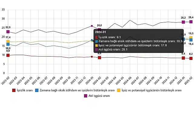 İşgücü İstatistikleri, Şubat 2025