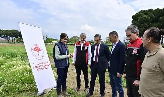 17 Bin Kuşkonmaz Fidesi Üreticilere Teslim Edildi