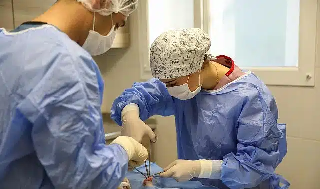 Buca Belediyesi can dostlarına umut oluyor