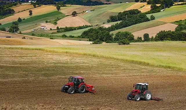 Büyükşehir destekliyor, üretici kazanıyor