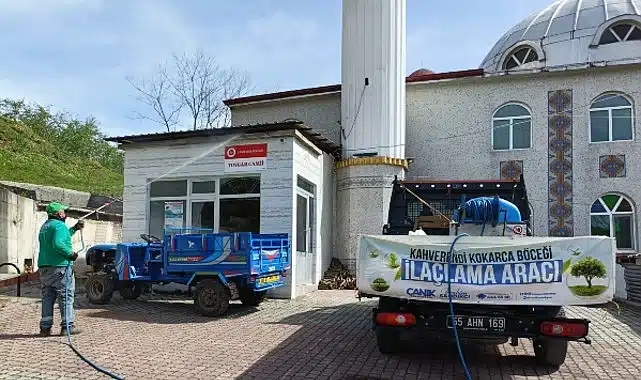 Canik’te Kokarca Böceğiyle Mücadeleye Tam Not