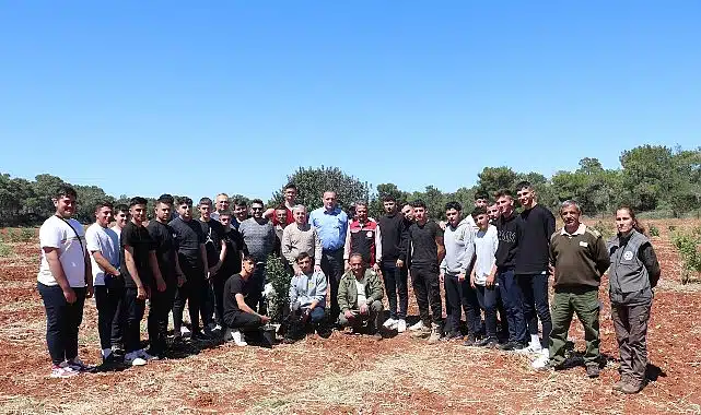 Çeşme Damla Sakızı Kıbrıs Topraklarında