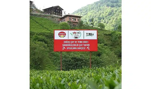 Doğuş Çay ve TEMA Vakfı’ndan sağlıklı topraklar ve sürdürülebilir çay tarımı için ortak adım
