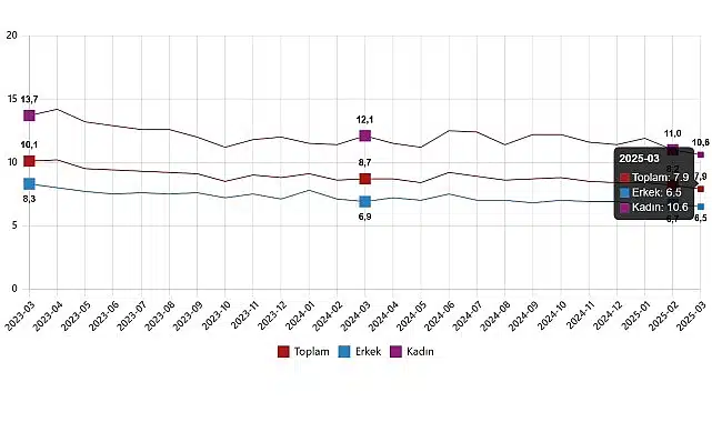 İşgücü İstatistikleri, Mart 2025