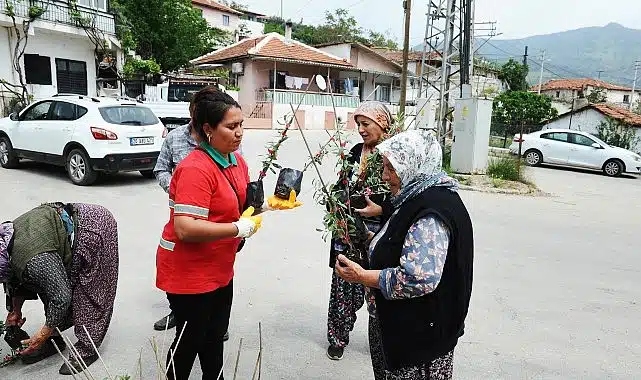 Karşıyaka Belediyesi’nden Sancaklı’da fidan dayanışması