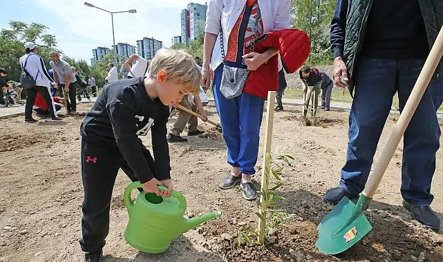Karşıyaka’da zeytin fidanları toprakla buluştu
