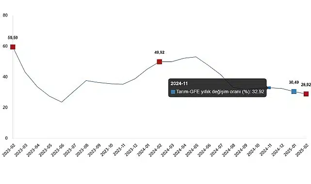 Tarımsal Girdi Fiyat Endeksi, Şubat 2025