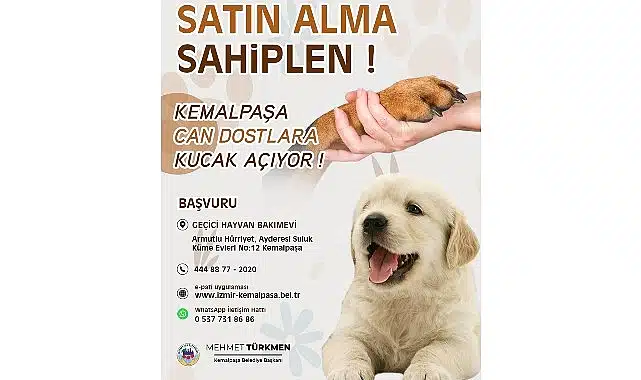 Türkmen: “Can dostlarımıza yuva olmak hepimizin sorumluluğu”