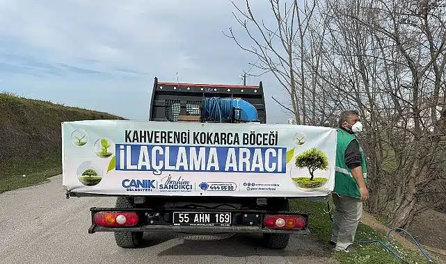 Canik’te Kokarca Böceğine Karşı Mücadelede Atak