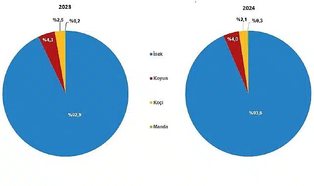 Çiğ Süt Üretim İstatistikleri, 2024