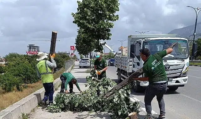 Fırtınanın Zarar Verdiği Ağaçlar Kaldırıldı