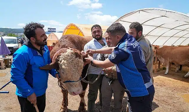 Gaziemir’de kurban satış yerlerinde sıkı denetim