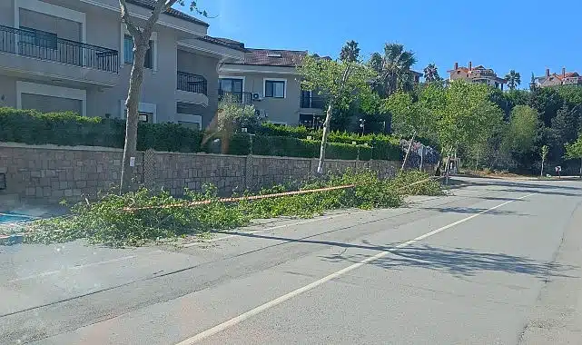 Güzelbahçe Belediyesi’nden Yaz Temizliği