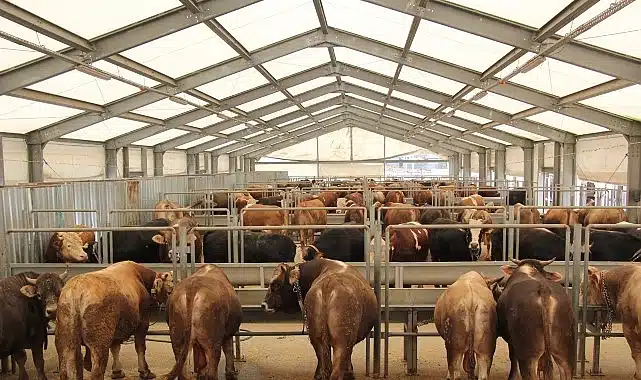 İBB’den Kurban Bayramı İçin 4 Modern Tesis