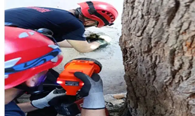 İzmir İtfaiyesi havalandırma bacasına sıkışan kediyi kurtardı