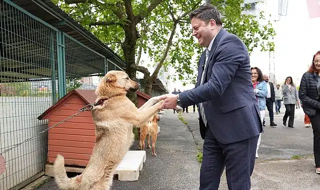 Kadıköy Belediyesi Geçici Hayvan Bakımevi Yenilendi