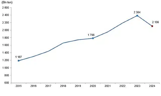 Kırmızı Et Üretim İstatistikleri, 2024