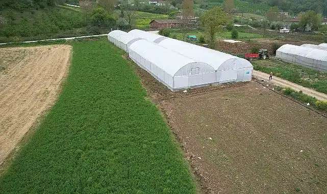Kocaeli’nde tarım büyüyor, seracılık gelişiyor