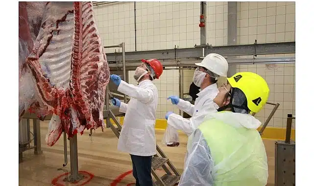 Kurban kesim başvuruları 15 Mayıs’ta başlıyor