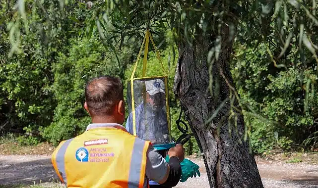 Sarısu Kadınlar Plajı 1 Haziran’da açılıyor