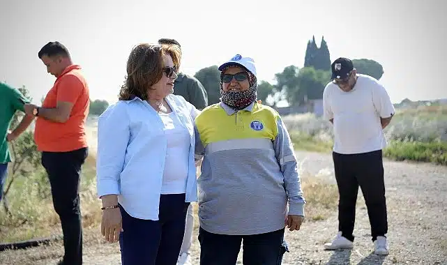 Başkan Gençay, kekik hasadına katıldı