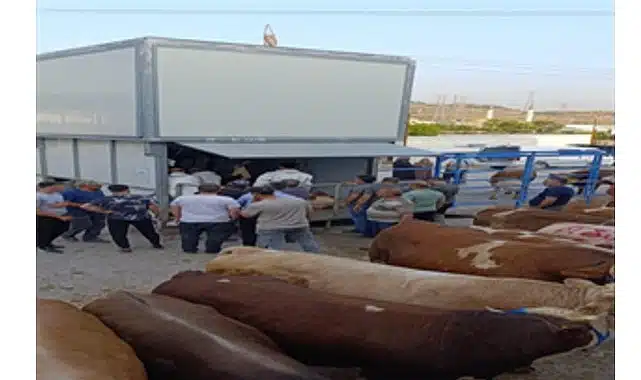 Büyükşehir’den bayramda güvenli ve hijyenik kesim hizmeti