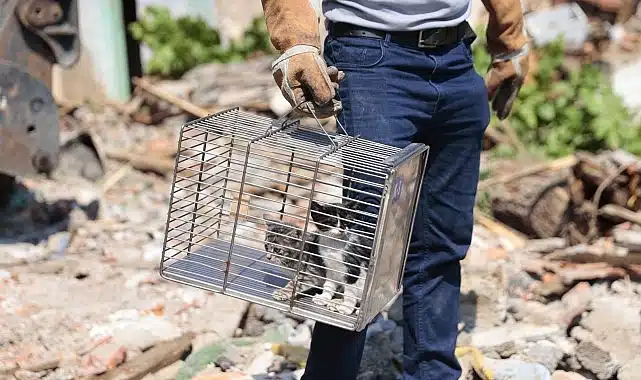 Konak’ta yıkıma can dostu mola