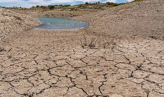 TEMA Vakfı: Toprağı İyileştirmek, Doğayı ve Geleceği Korumaktır