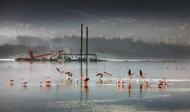 170 hektar alan dip çamurundan arındırıldı