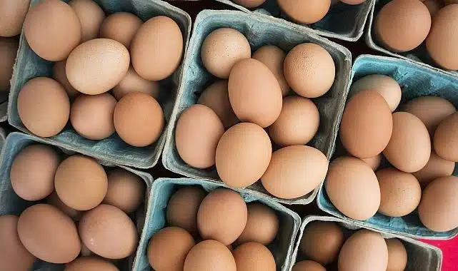 DFİF kesintisi kalktı, yumurta ihracatçısı rahatladı