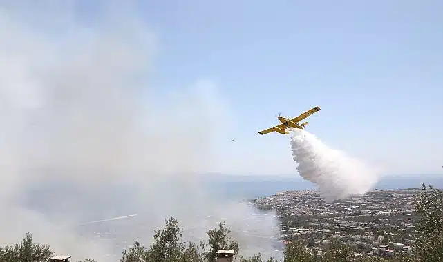 Edremit’te zeytinlikte çıkan yangın ormana sıçramadan söndürüldü