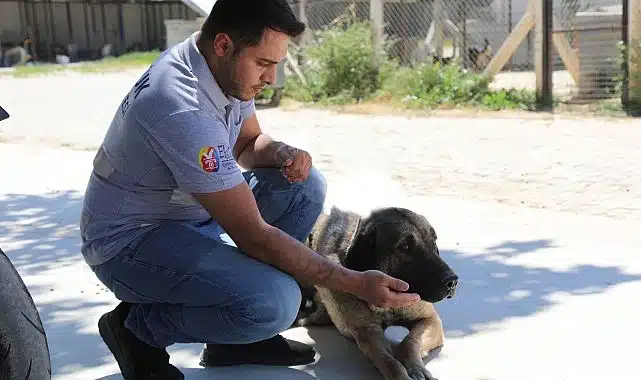 Efes Selçuk’ta “Satın Alma Sahiplen” Çağrısı
