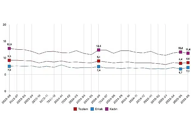 Mevsim etkisinden arındırılmış işsizlik oranı yüzde 8,6 seviyesinde gerçekleşti