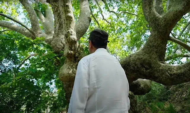 Plant Era: Ela Excellence Resort Belek ile doğa ile bütünleşin