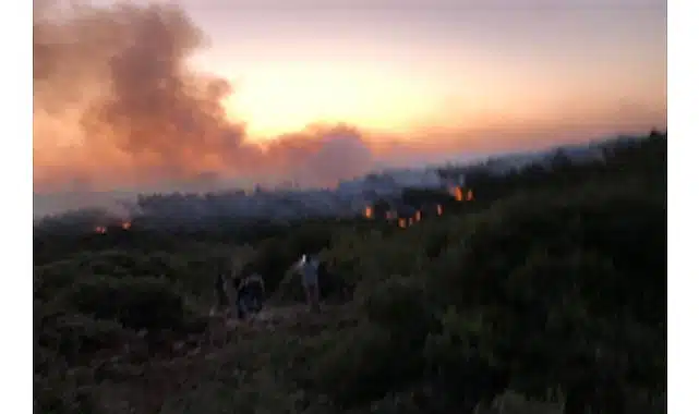 Urla’da yangın kontrol altına alındı