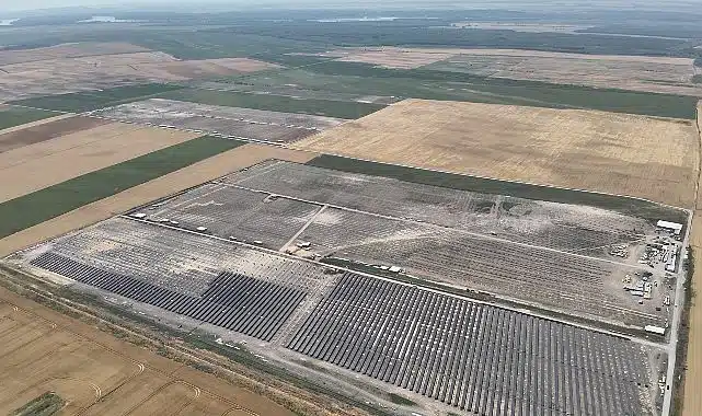 YEO Teknoloji’den dünyaya 2.5 milyon ağaç kadar nefes